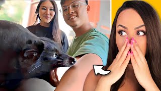 The most UNUSUAL MEMES 😂 #11 | Bunnymon REACTS