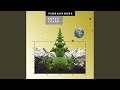 Miniature de la vidéo de la chanson Mental Mountain