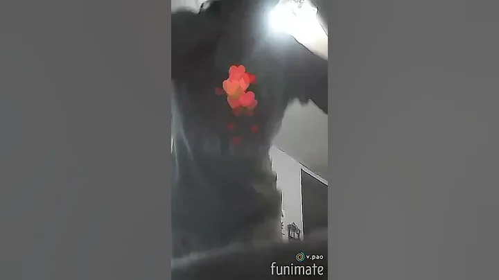 Made by Funimate