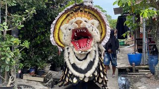 Terbaru 2026 Barongan Tertua Condromowo Ngamok di Betahwalang