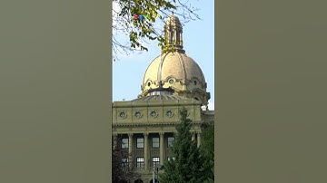 Alberta invokes notwithstanding clause to stop court challenges of transgender laws