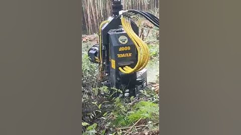 Xuvol tree cutting machine#excavator #machineryandtechnology #forestry machine#agriculture