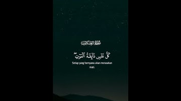 قران كريم بصوت جميل #اجمل_تلاوة_مهدئة_للاعصاب#راحة_نفسية#قران_كريم