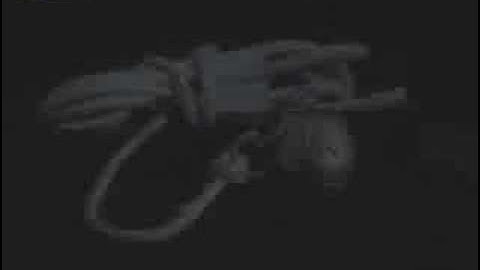 Kung Fu Weapons - The Rope Dart & The Meteor Hammer