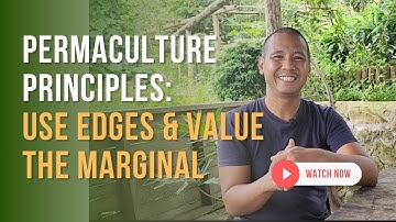 Permaculture Principles: Use Edges and value the marginals