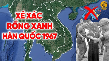 Đặc Công VN Đã "Xé Xác" Sư Đoàn Rồng Xanh HQ Năm 1967 Thế Nào?