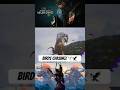 [WUKONG] BIRDS CHASING! #gamehighlights #gaming #wukong #blackmyth #10plagues #monkeyking