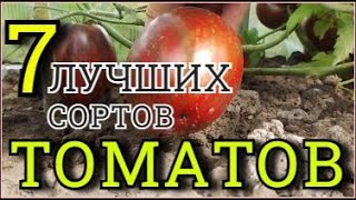 САМЫЕ ЛУЧШИЕ ТОМАТЫ (7 сортов) Супер мега урожайные и вкусные Самые лучшие сорта томатов для теплицы