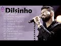 Dilsinho  cd completo  msicas novo 2022