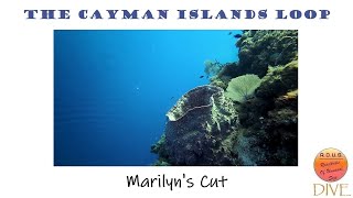 Episode 175:  Diving Marilyn's Cut