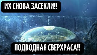 Загадки Древних Цивилизаций! Документальный Фильм Расследование! Сенсационные Данные!  12 12 2021