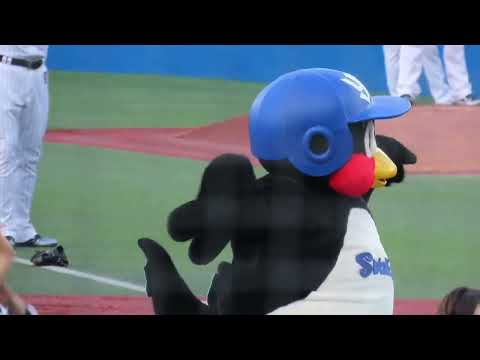 2022.8.3(水) 明治神宮野球場　つば九郎復活！！　東京音頭で最後明らかに違う踊りにw