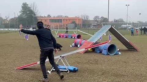 2024-11-10 - ENCI - Goito - Belgian Tryouts - Agility 3