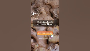 Jual Beli Jahe Emprit Skala Industri di Ekosis