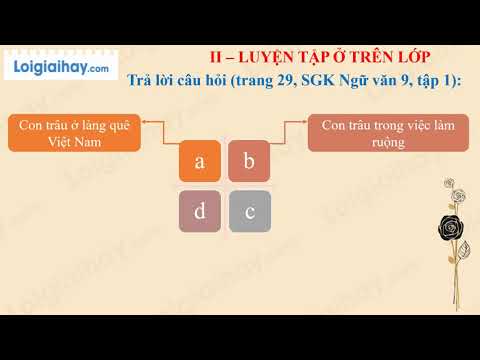 Video Soạn bài Luyện tập sử dụng yếu tố miêu tả trong văn... - youtube
