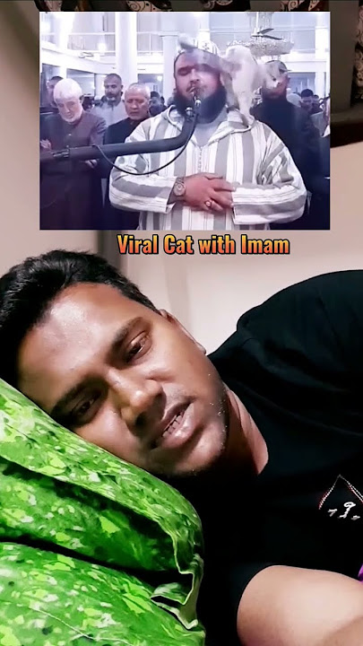 Viral Cat & Imam #short #cat #imam