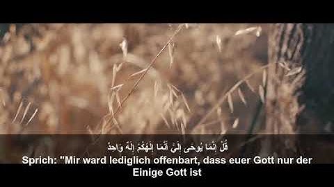 خواتيم سورة الأنبياء | بصوت القارئ هشام مهران | تلاوة مع الترجمة للألمانية