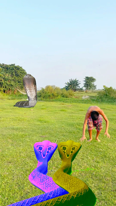 Jai sadu#snake darne#aya#hara hara Shambhu#cnake aya#hara hara dhambhu#cnake video