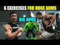 GET BIGGER ARMS - 6 BEST Exercises You MUST DO!!