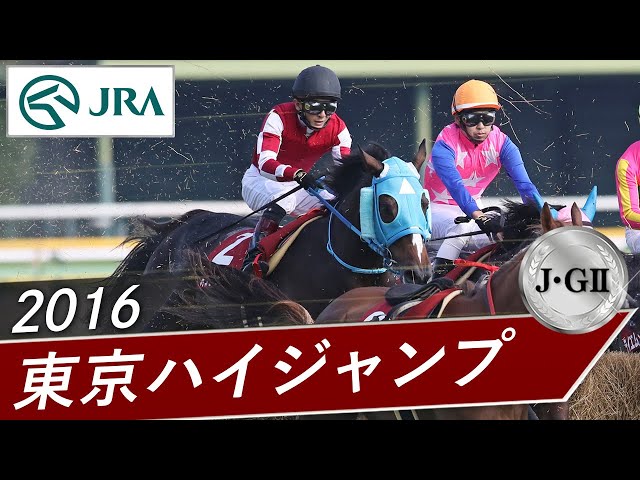 2016年 東京ハイジャンプ（J・GⅡ） | オジュウチョウサン | JRA