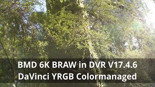BMD 6K BRAW (Gen 5) Colorgrading in DaVinci Resolve V17