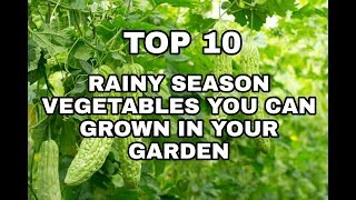 TOP 10 RAINY / MONSOON SEASON VEGETABLES YOU CAN GROWN IN YOUR GARDEN