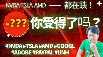 NVDA、TSLA、AMD都在跌：你的目標回報率是否太貪心？｜Halley談投資者心智與風險承受力｜财富种植园｜会员直播片段