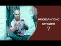 Апокалипсис или очищение