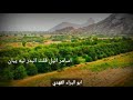 دان بدوي من ابين يقول رائد على خلي دفعت الثمن صوت راجح كلمات رائد القفعي