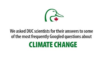 Most searched climate change questions answered by scientists at DUC