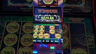 Nice Hit From This Panda slot dragonlink 