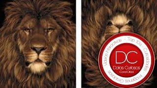 10 Ilusiones Ópticas Que Te Harán Alusinar