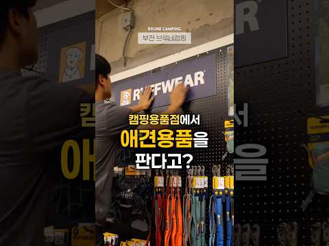 댕댕이랑 아웃도어 다니는데 이걸 몰라요?? 러프웨어 RUFF WEAR #아웃도어 #캠핑 #하이킹 #백패킹 #강아지