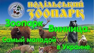 Винницкий зоопарк. Подольский зоопарк. Zoo. Чисто и красиво. Интересное место. Животные. Дети. Класс Винницкий зоопарк. Подольский зоопарк. Zoo. Чисто и красиво. Интересное место. Животные. Дети. Класс