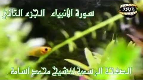 تلاوة من سورة الانبياء للشيخ محمد أسامة الجزء الثاني