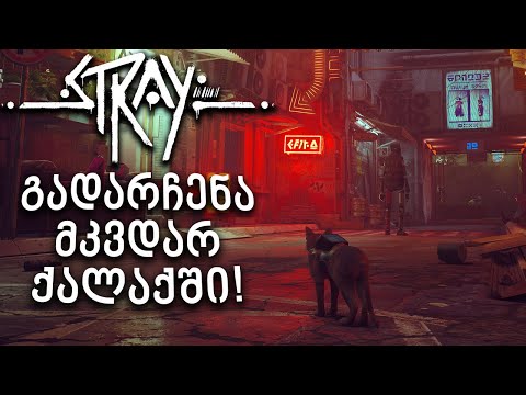 გამოვიდა ახალი შედევრი! კატა მკვდარ ქალაქში!!! - Stray