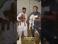 Karachi Ka Sabse Sasta Turkey Dumbe 😱 | Lalukhet & Bhains Colony Se Bhi Saste!