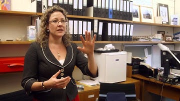 Inside the commons 3