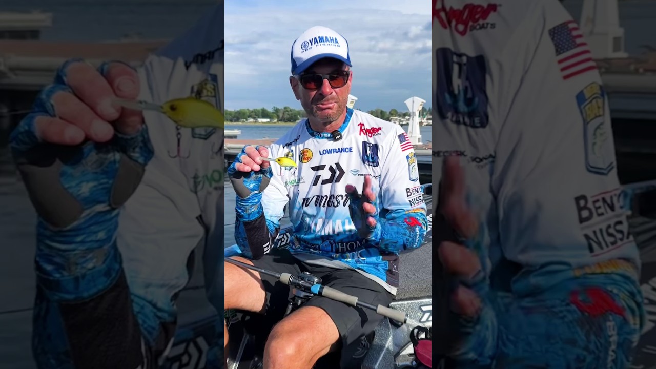 Randy|Vapor 50 Deep Plus