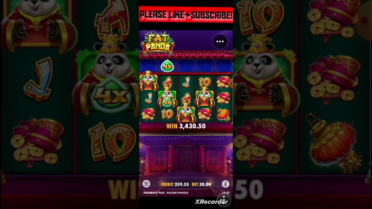Fat Panda Big Win! 