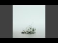 Miniature de la vidéo de la chanson Anhelo