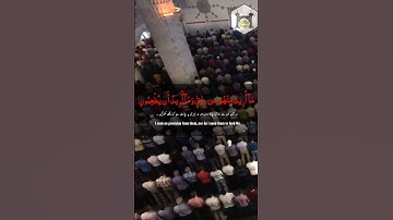 51 : سورة الذاريات - Ayat No 56 وَ مَا خَلَقۡتُ الۡجِنَّ وَ الۡاِنۡسَ  اِلَّا لِیَعۡبُدُوۡنِ ﴿۔