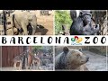 Barcelona Zoo 🇪🇸 🐘 🐒 🐻 🦒