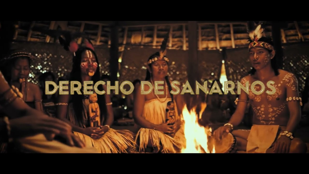 Kirtan Reggae - Derecho de Sanarnos (Visualizer)