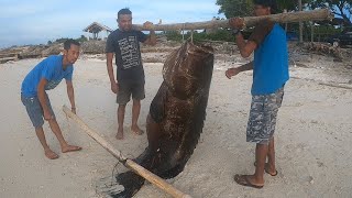 Pecah rekor lagi monster grouper 180 kg Spearfishing Selayar