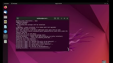 Linux on Apple silicon and Mininet