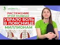 БОЛИТ ПОЯСНИЦА? Растяжение этой мышцы УБРАЛО БОЛЬ В ПОЯСНИЦЕ МИЛЛИОНАМ! | Кинезитерапия