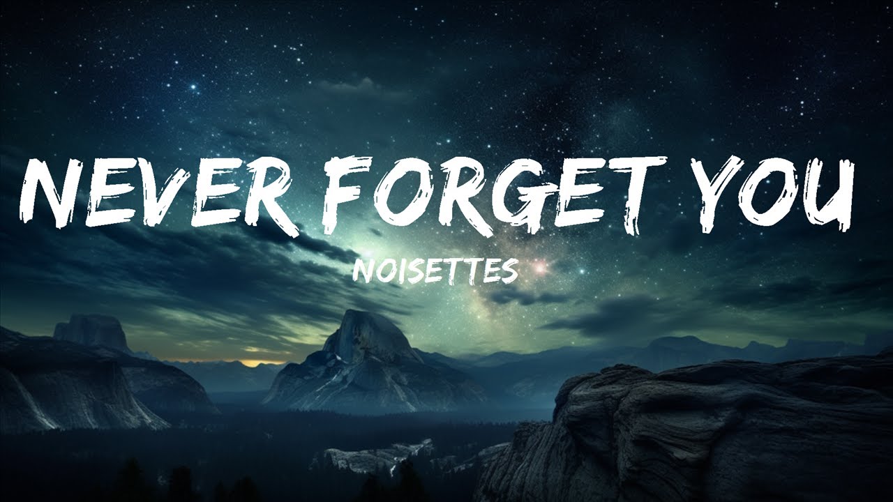 NEVER FORGET YOU (TRADUÇÃO) - Noisettes 