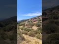 Miletos Doğanbey priene