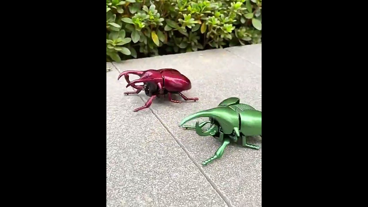 Realistic Beetle Toy